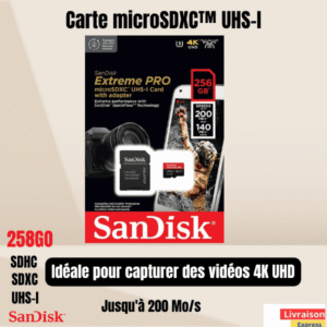 carte-microsdxc-sandisk-extreme-pro-256go