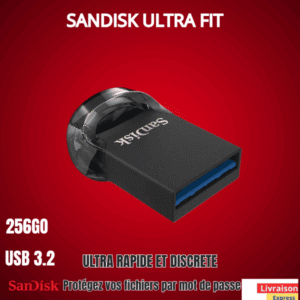Clé USB: Sandisk ultra fit 256GO