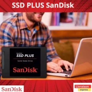 SanDisk SSD Plus 1Tb